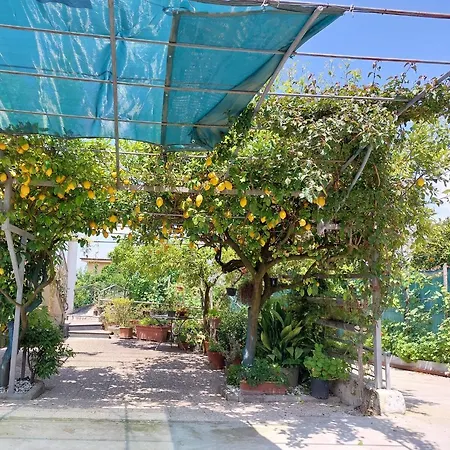 Apartment Amazing View! Apt 100sqm With Terrace & Free Parking Angri