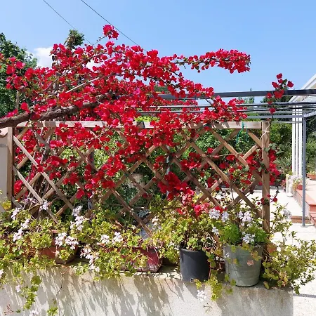 Amazing View! Apt 100sqm With Terrace & Free Parking Angri